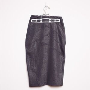 Express Pencil Skirt